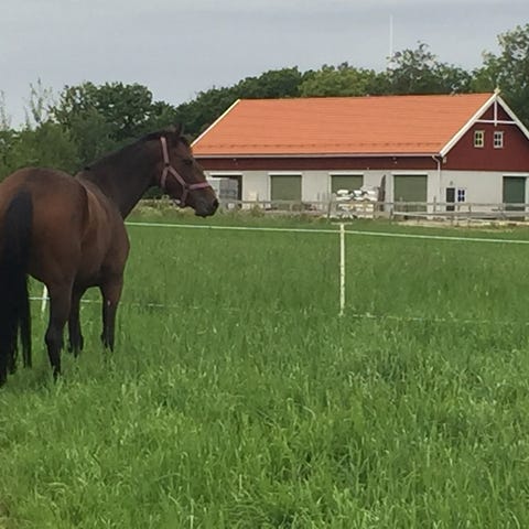 Annonsebilde