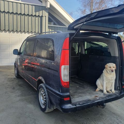 Mercedes Viano  - Vito w639