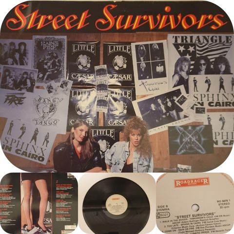 VINTAGE/RETRO LP-VINYL"STREET SURVIVORS 1988"