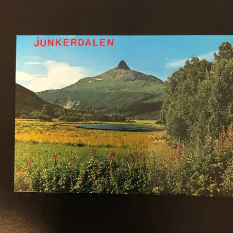 Junkerdalen, ubrukt. (981D)