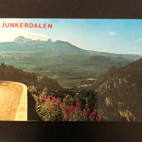 Junkerdalen, ubrukt. (980D)