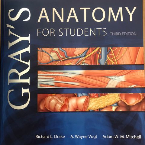 Gray’s anatomy for students