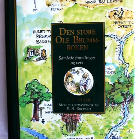 Den store OLE BRUMM-boken