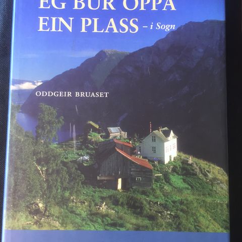 Oddgeir Bruaset: Eg bur oppå ein plass.