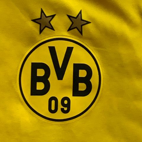 BvB Borussia Dortmund treningstrøye, str. XL