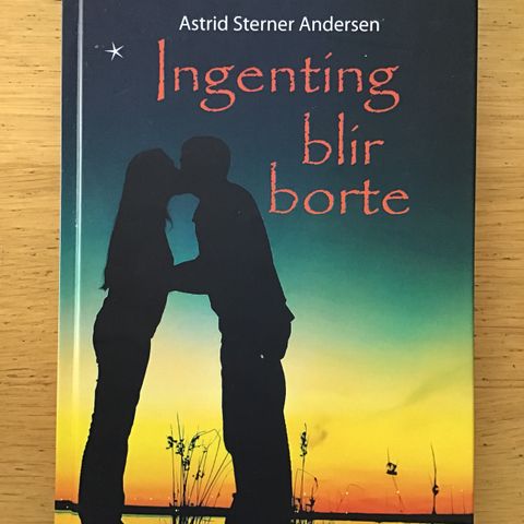 Bok: Astrid Sterner Andersen, ingenting blir borte