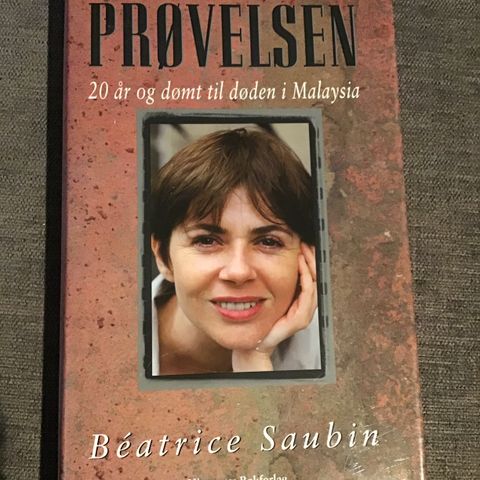 Bok: Beatrice Saubin, Prøvelsen