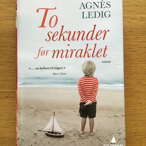 Bok: Agnes Ledig, To sekunder før miraklet