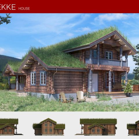 Tradisjonell norsk hytte "Brekke"