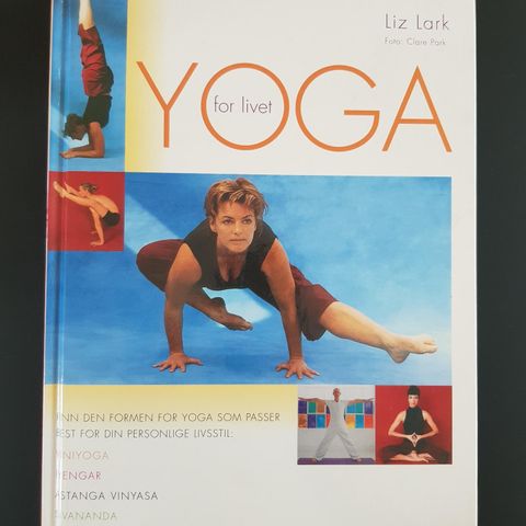 Yoga for Livet. Liz Lark