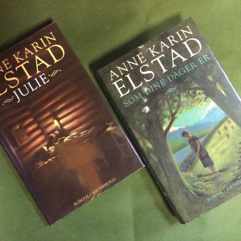 To bøker av Anne Karin Elstad