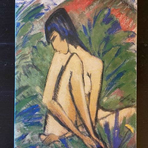 Die Brucke - Edvard Munch