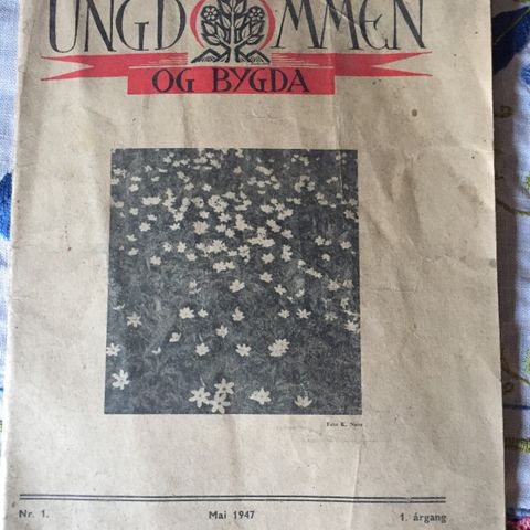 Ungdommen og bygda. 1947