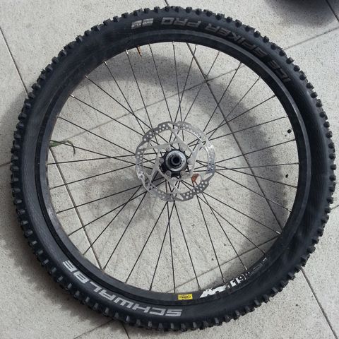 Terrengsykkelhjul med piggdekk / terrain bike wheel with studdy tires