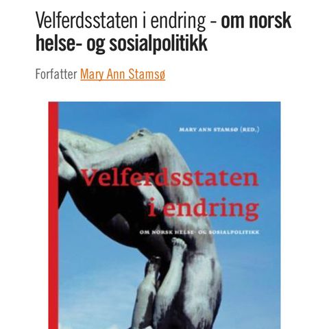 Bok Velferdsstaten i endring, Mary Ann Stamsø