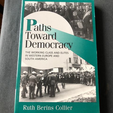 Paths Toward Democracy av Ruth Berins  Collier