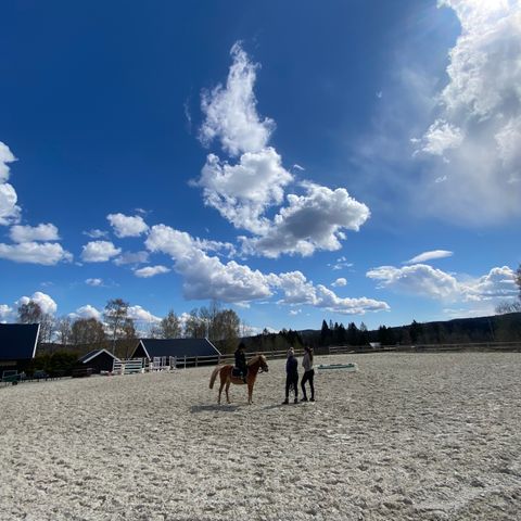 Ledig stallplass på Lierskogen - Stall TR