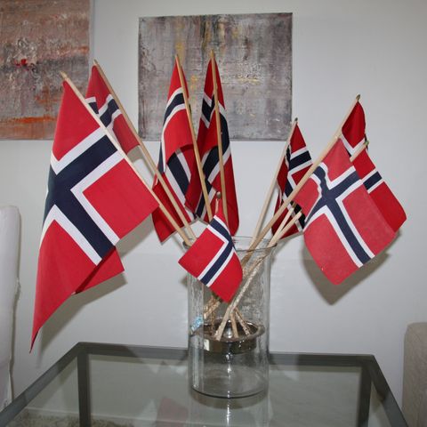 17. mai flagg / norske flagg