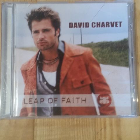 David Charvet - Leap of Faith