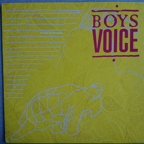 Boys Voice - Talking to the moon LP 1985