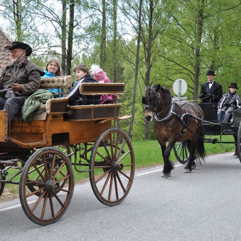 To flotte gamle hestevogner