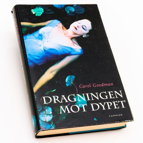 Dragningen mot dypet - Carol Goodman