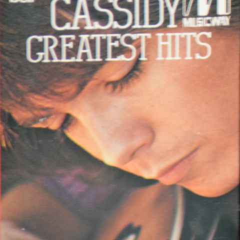 David Cassidy – David Cassidy's Greatest Hits, 1974