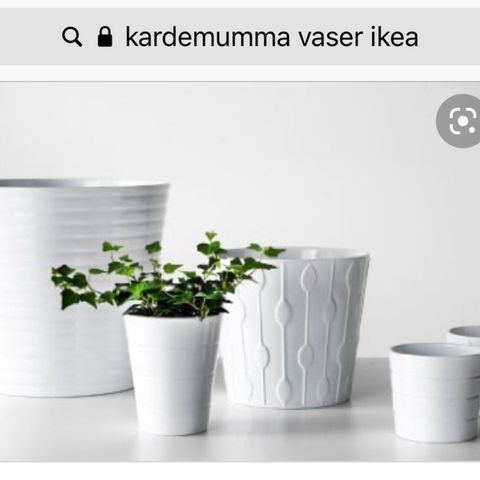 Vaser, blomsterpotter og innmat