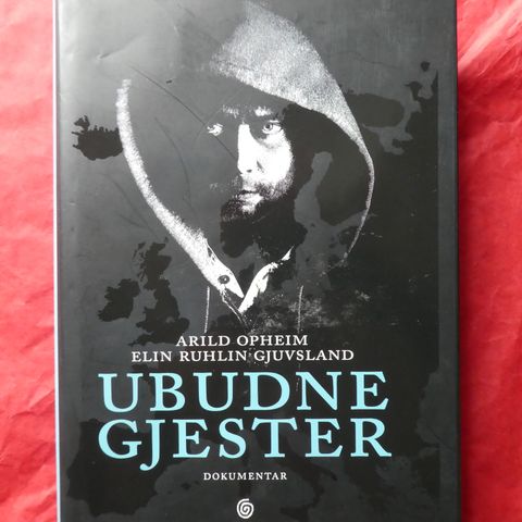 Ubudne gjester