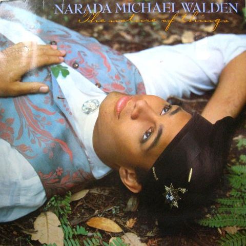 Narada Michael Walden – The Nature Of Things