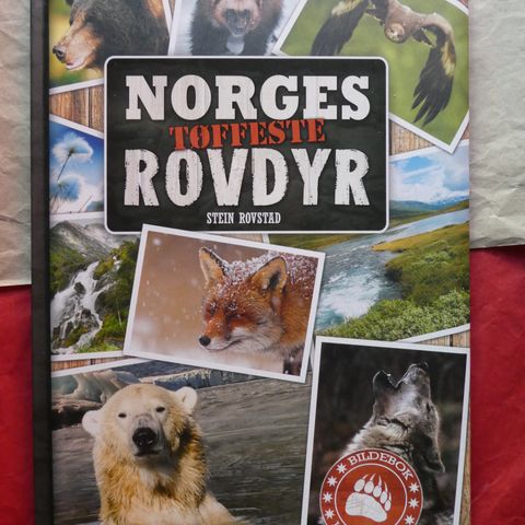 Norges tøffeste rovdyr