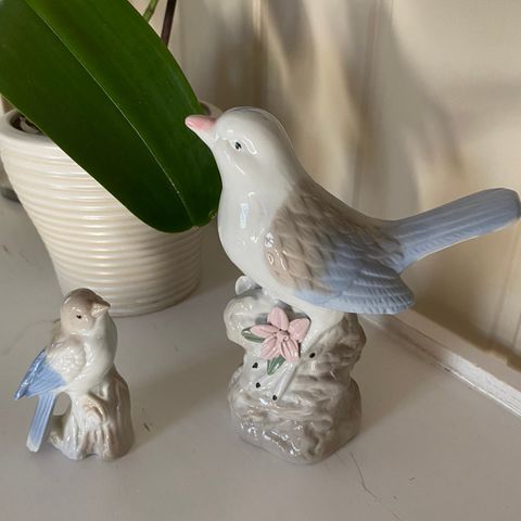 Småfugler i porselen