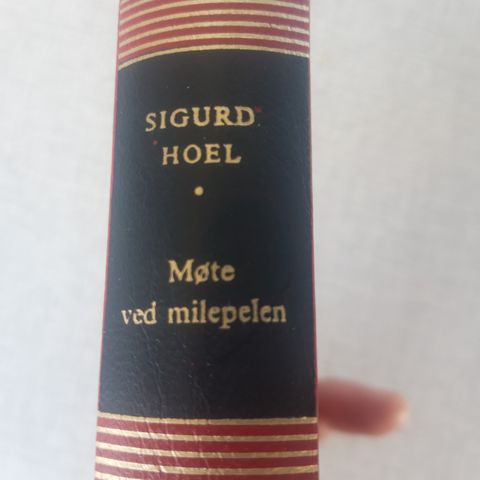 Sigurd Hoel - Møte ved milepelen