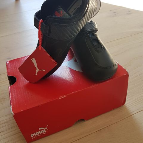 Puma skinnsko