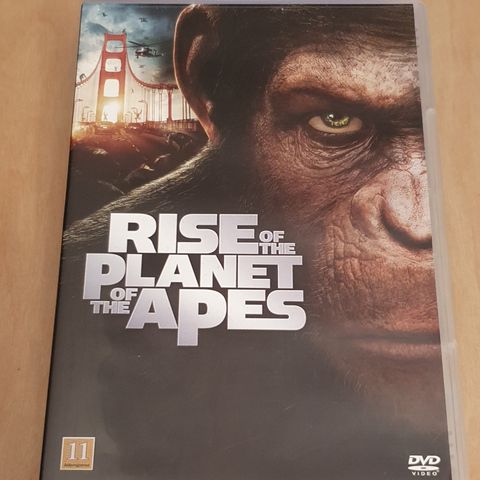 Rise of the planet of the apes  ( DVD )