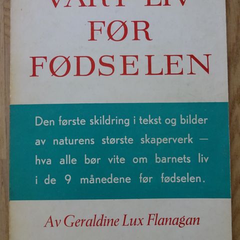 Vårt liv før fødselen - Geraldine Lux Flanagan