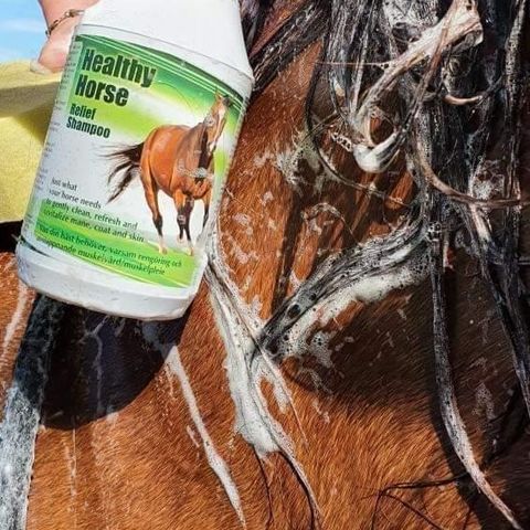 Heste Shampoo - Healty Horse Relief Shampoo & Balsam   - 700 ml - Helt ny