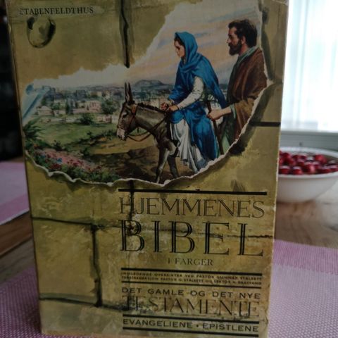 Hjemmenes Bible i farger