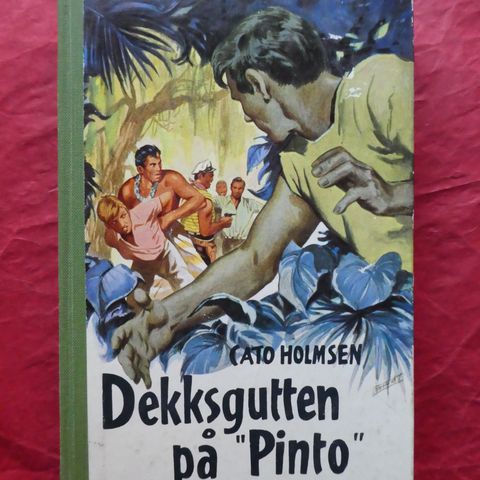 Dekksgutten på ”Pinto”