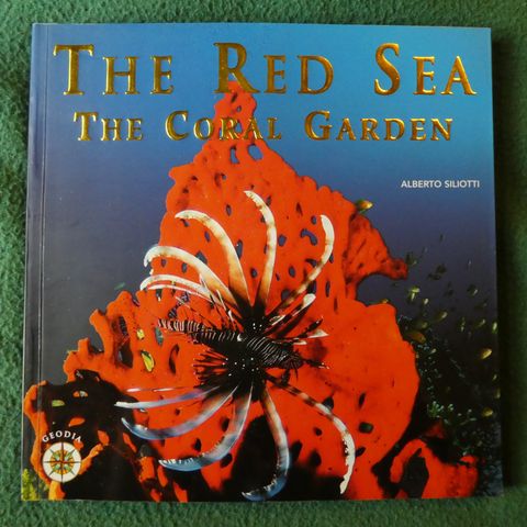 The red Sea: The Coral Garden