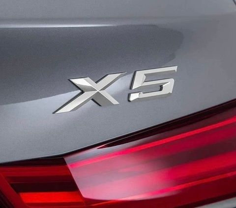 X5 emblem / logo BMW X5