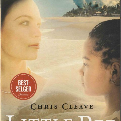 Chris Cleave – Little Bee