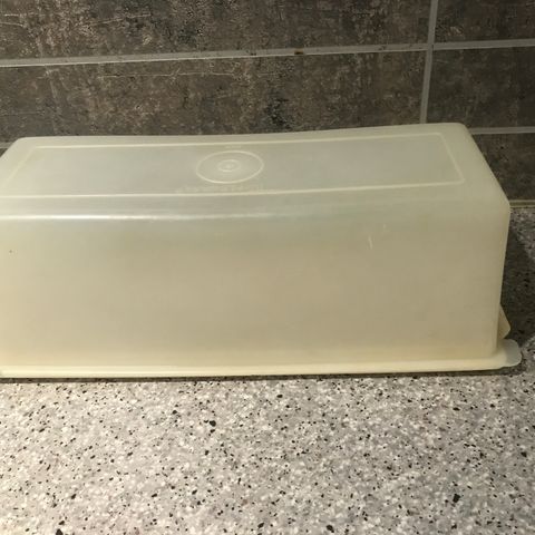 Eldre avlang Tupperware, oste boks . Plass til 2  oster.  26 x 10 cm.  Retro....