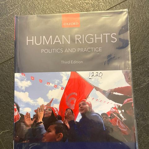 Human rights - politics and practice