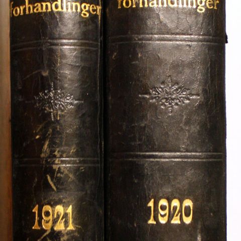 Stavanger bystyres forhandlinger  1920 og 1921.  2 bind