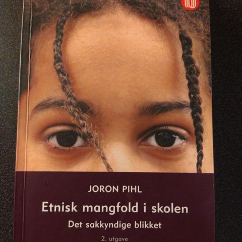 Etnisk mangfold i skolen : det sakkyndige blikket