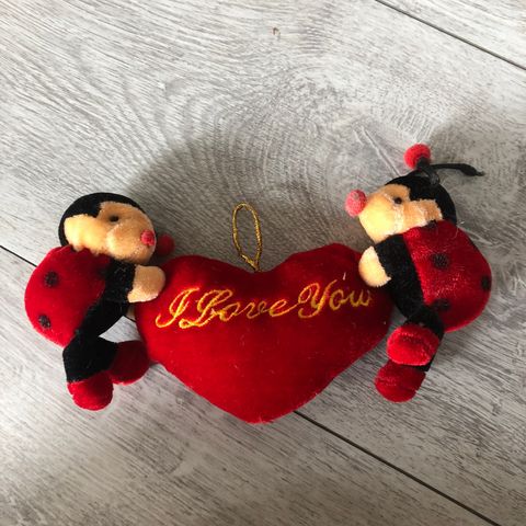 Bamse, fin valentines gave