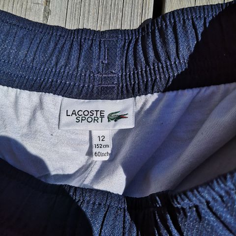 Shorts Lacoste