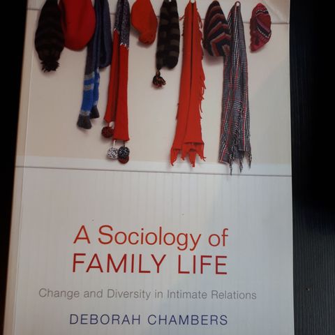 A Sociology of Family Life av Deborah Chambers