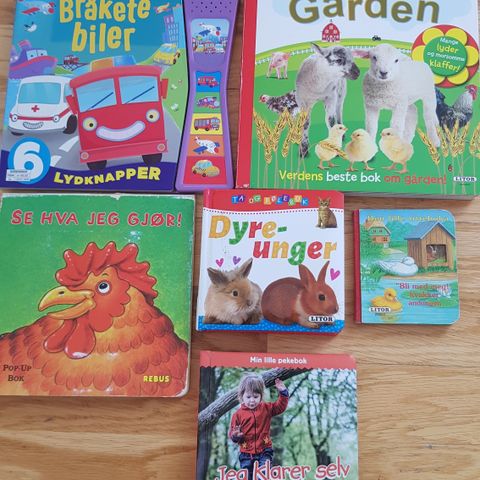 Diverse leker og bøker til barn 0- 3 år